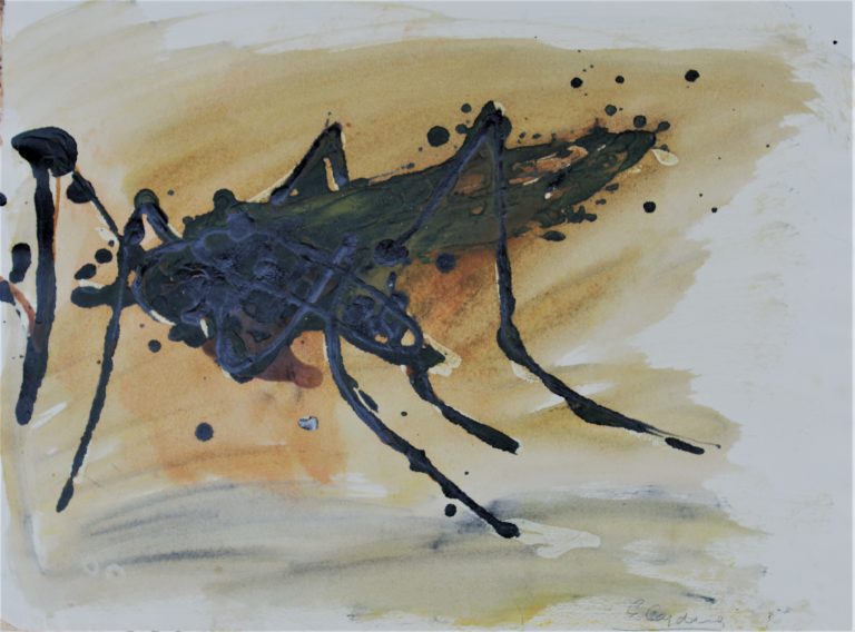 Insecte, 15