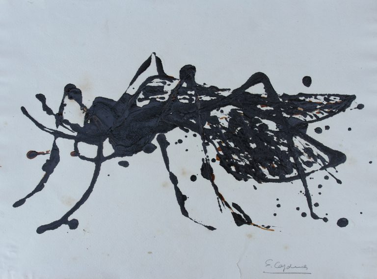 Insecte, 3 47x35cm.