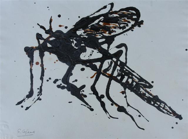 Insecte,9 47x35cm.